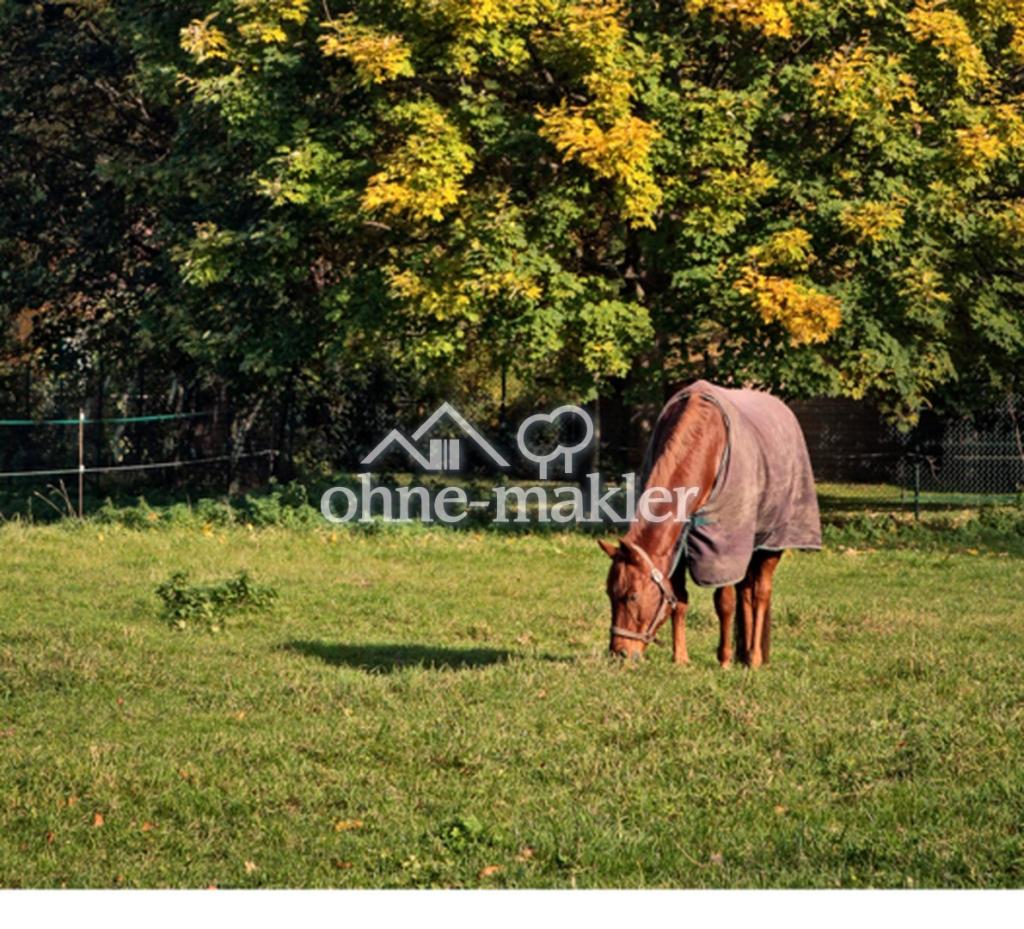 Modern mit historischem Flair und viel Platz für Familien - Photo 3