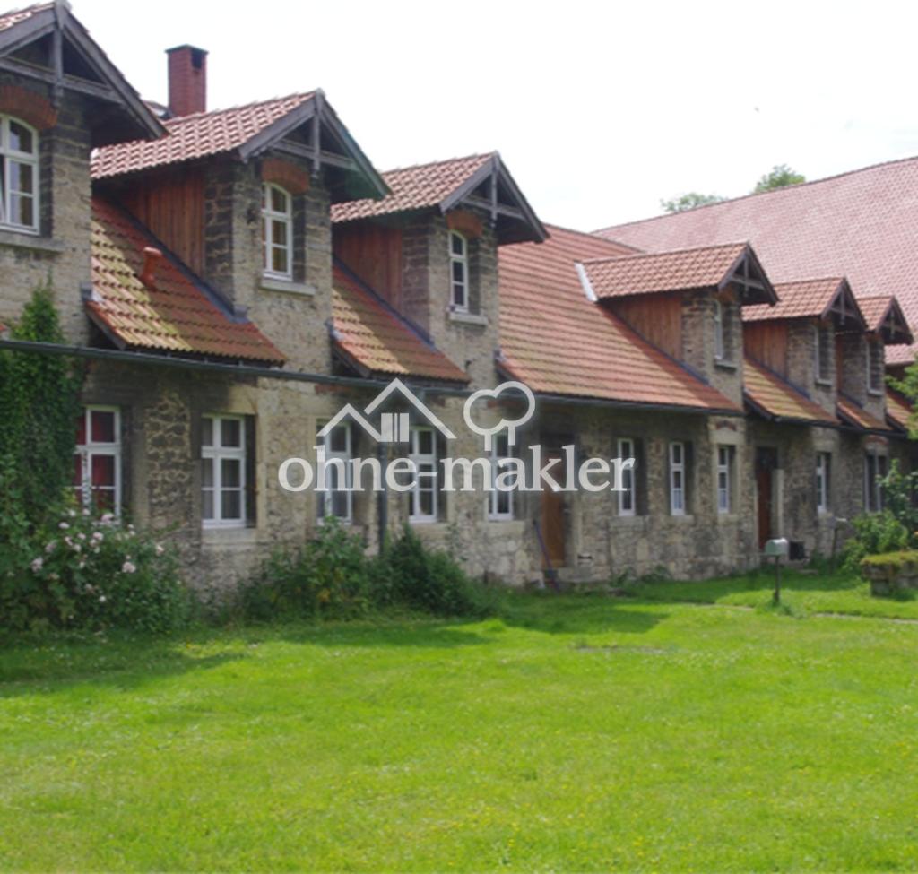 Modern mit historischem Flair und viel Platz für Familien - Photo 1