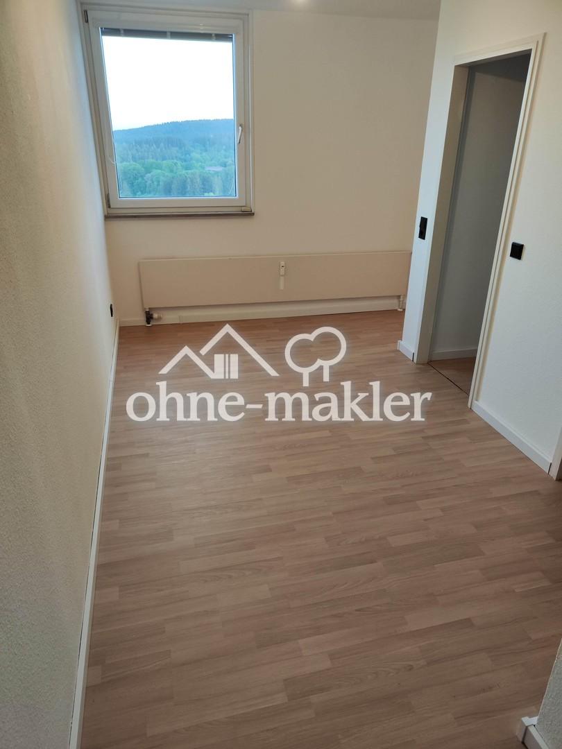 2 Zimmer Wohnung mit Balkon, frisch saniert - Foto 5
