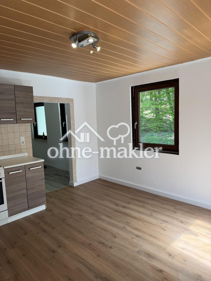 3-Zimmer-Wohnung in idyllischer Alleinlage in Groß-Bieberau – Natur pur - Foto 2