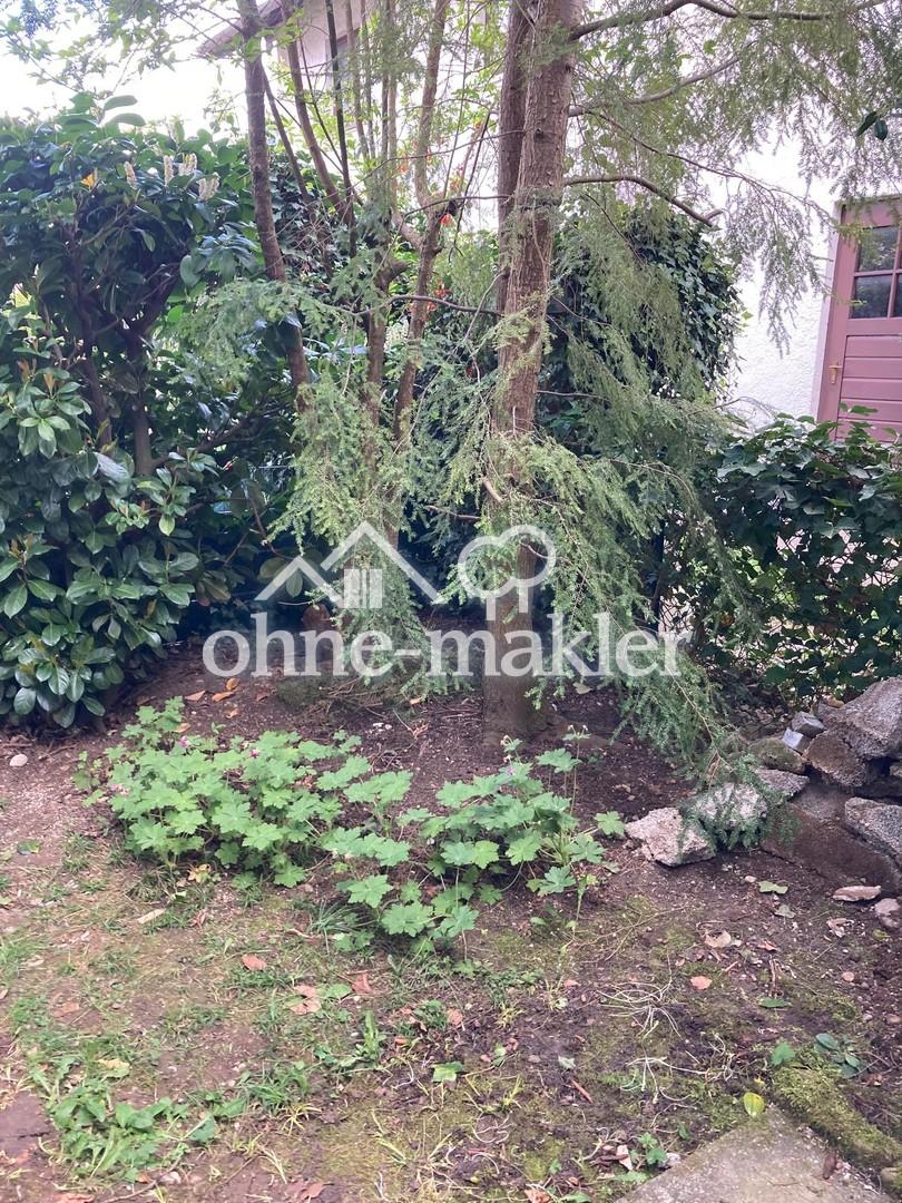 Neu renoviertes Appartment (Einliegerwohnung) - Photo 5