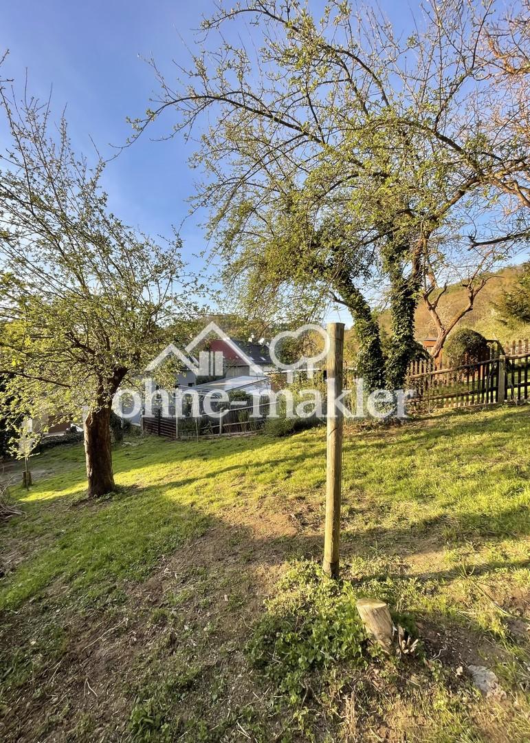 Einfamilienhaus mit Fachwerk & Garten - Erstbezug nach Sanierung - Foto 4
