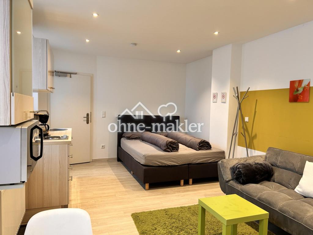 Löffelfertiges 1-Zi.-Apartment zentrumsnah am Fürther Stadtpark - Photo 1
