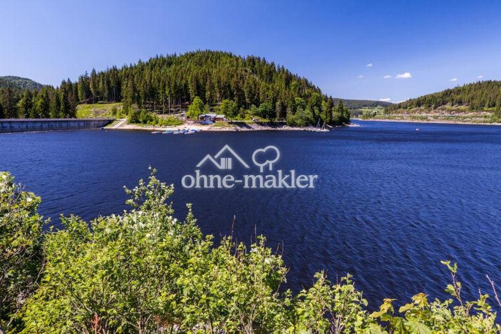 Immobilie in Schluchsee -  - Bild 3