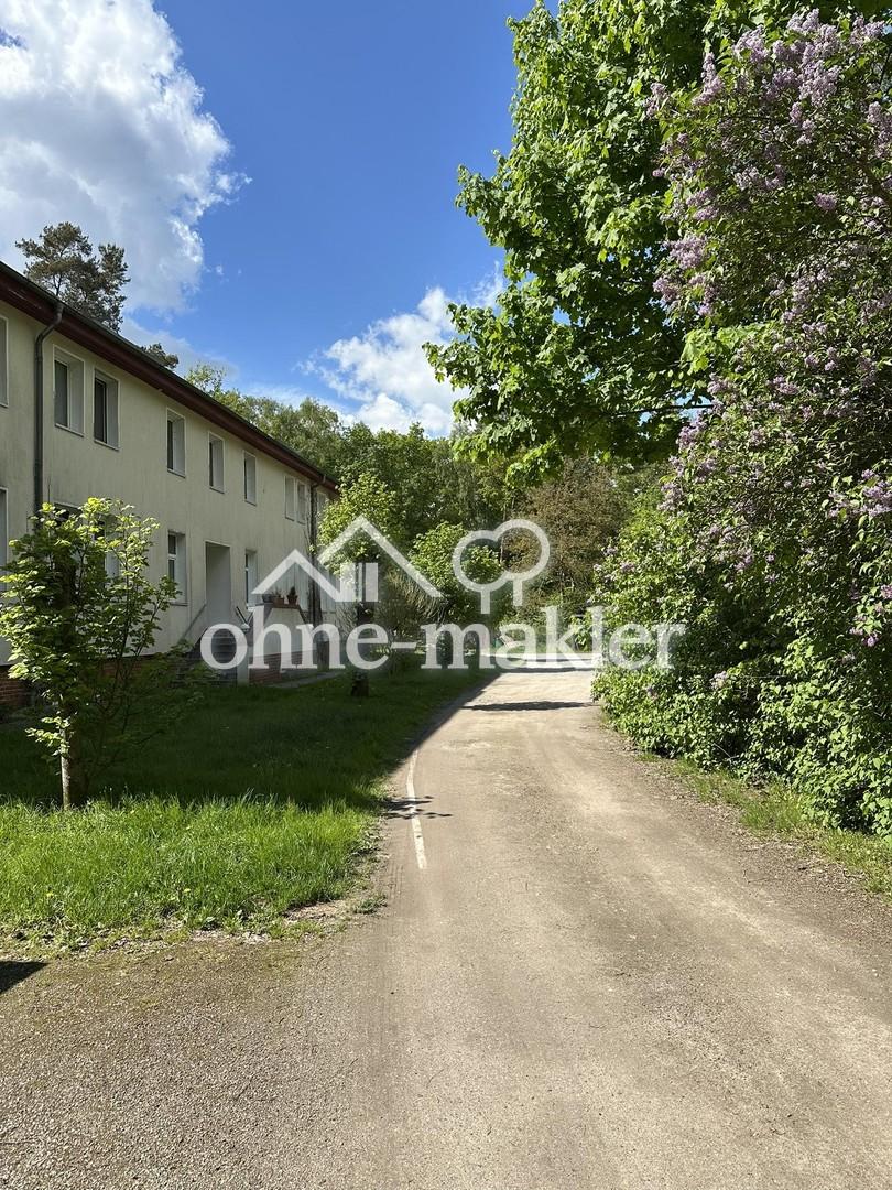 Helle große 3 Raumwohnung mit Garten - Foto 3
