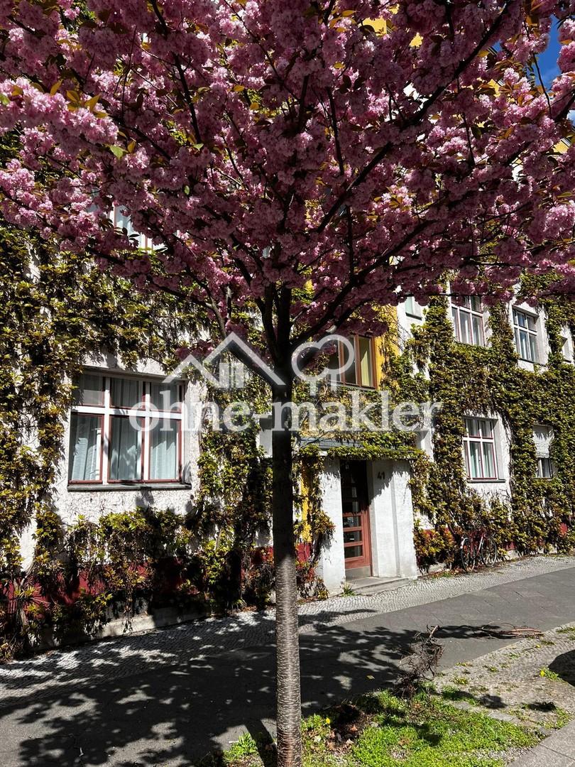 PBerg! Möblierte, gemütliche, ruhige 2-Zimmer Wohnung mit Balkon im Denkmalschutz Ensemble - Photo 4