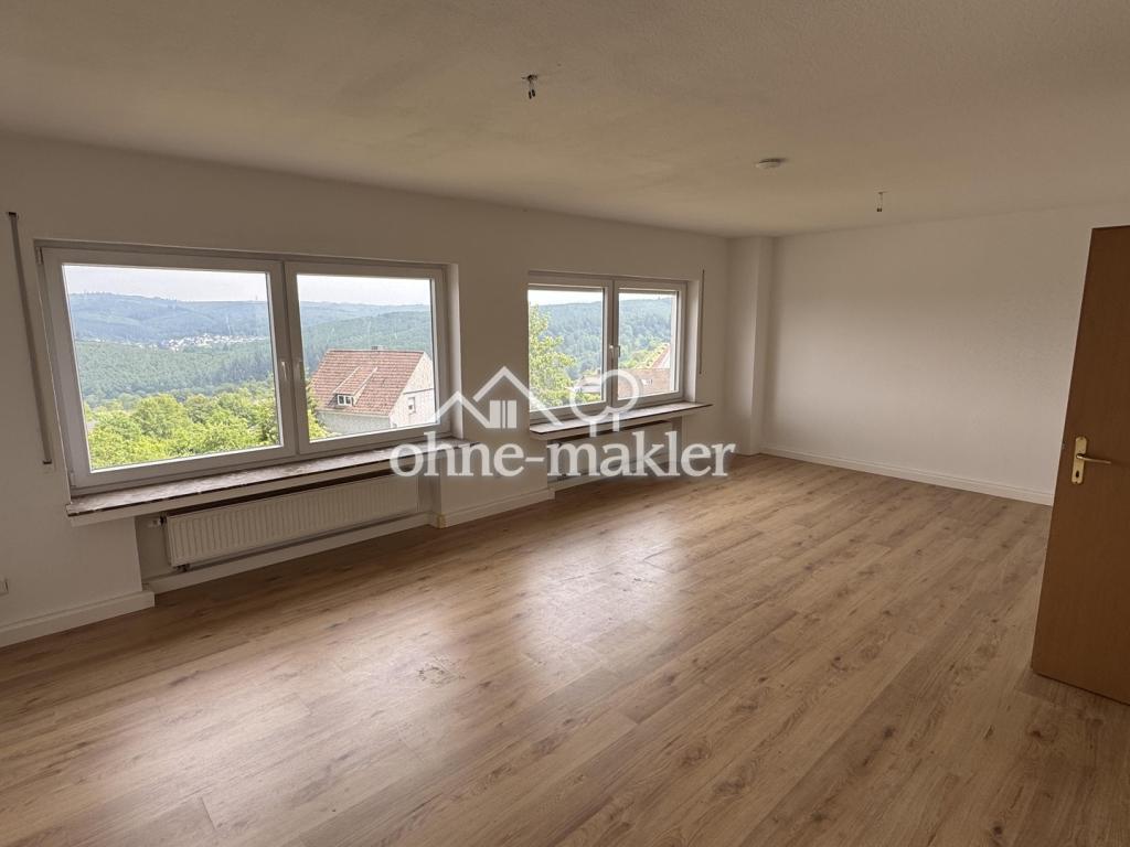 Sorpesee: 88m² 3 Zi. KDB mit Fernsicht, neuem Bad und neuer Küche - Foto 1