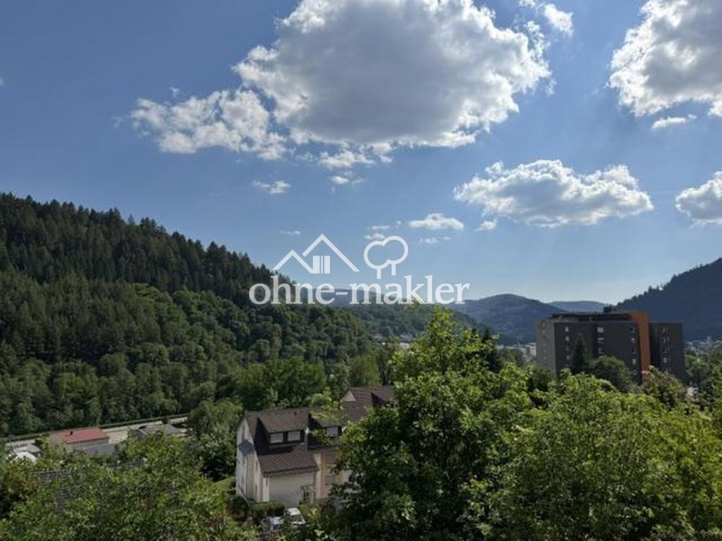 DG Wohnung in traumhafter Hanglage von Eberbach - Photo 5