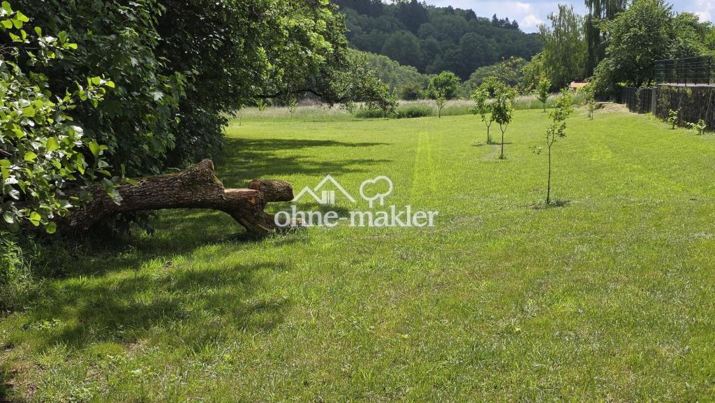 Helle 2-Zimmer-Hausmeisterwohnung in Hergenroth – Nähe Westerburg - Photo 5