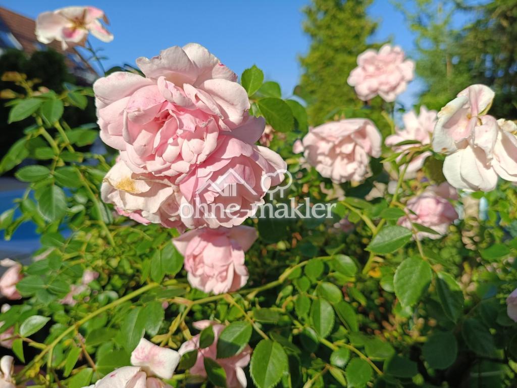 Zauberhaftes Wohnen als Untermiete/Frauen WG in Gartenwohnung mit Pool - Photo 4