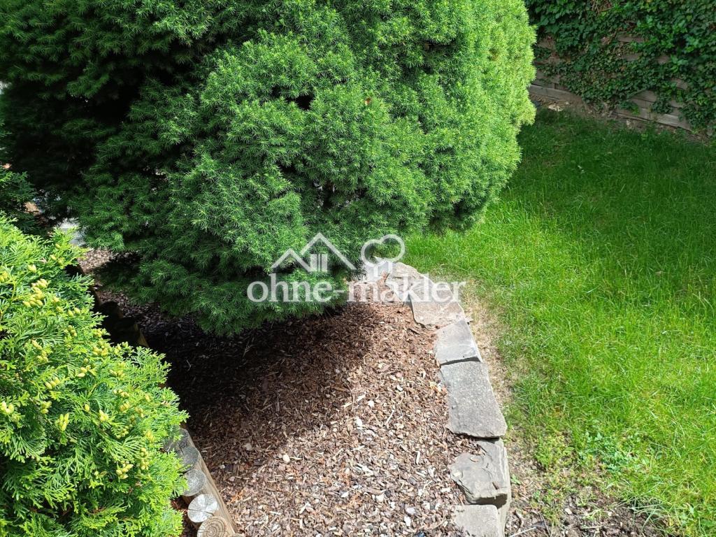 Zauberhaftes Wohnen als Untermiete/Frauen WG in Gartenwohnung mit Pool - Photo 4