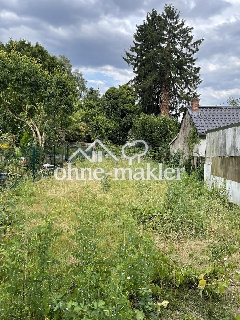 Sport-, Freizeit- und Erholungsfläche in 56567 Neuwied zu vermieten - Photo 3