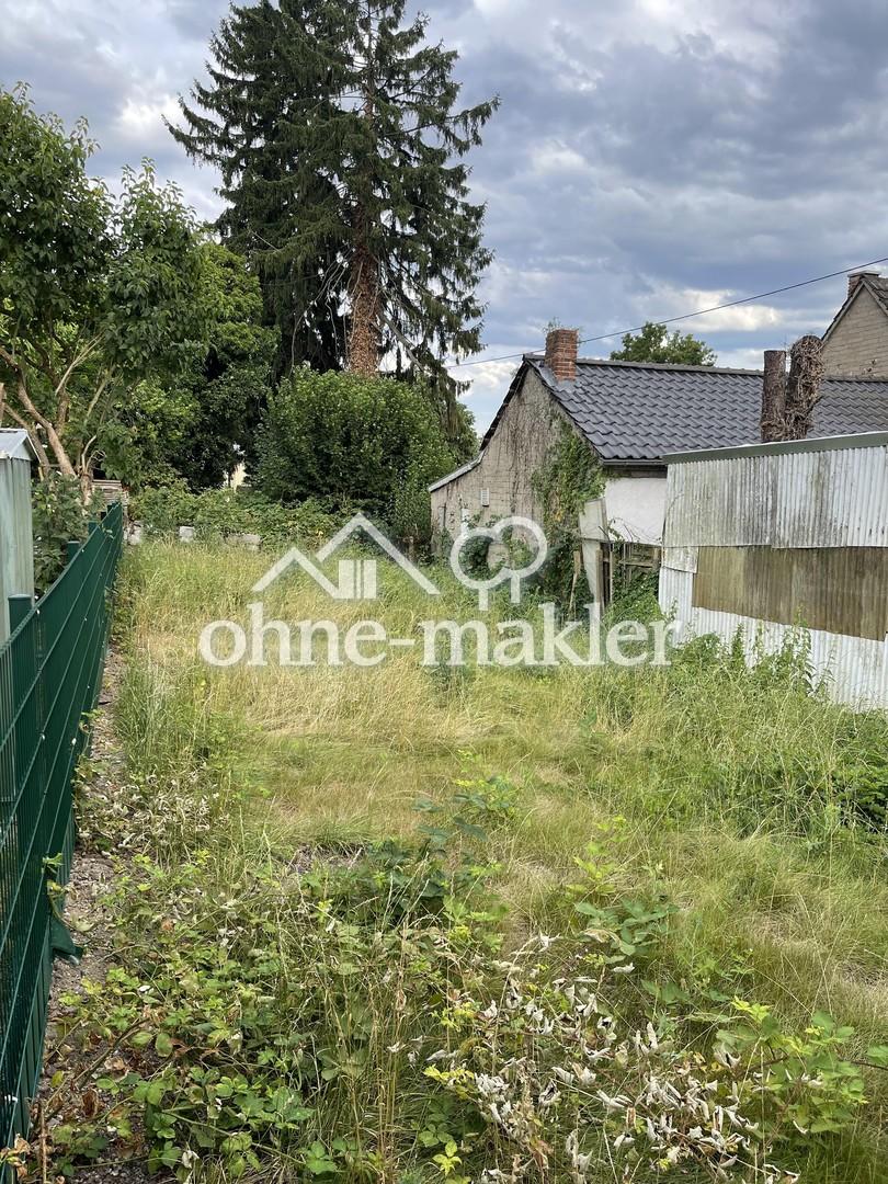 Sport-, Freizeit- und Erholungsfläche in 56567 Neuwied zu vermieten - Photo 1