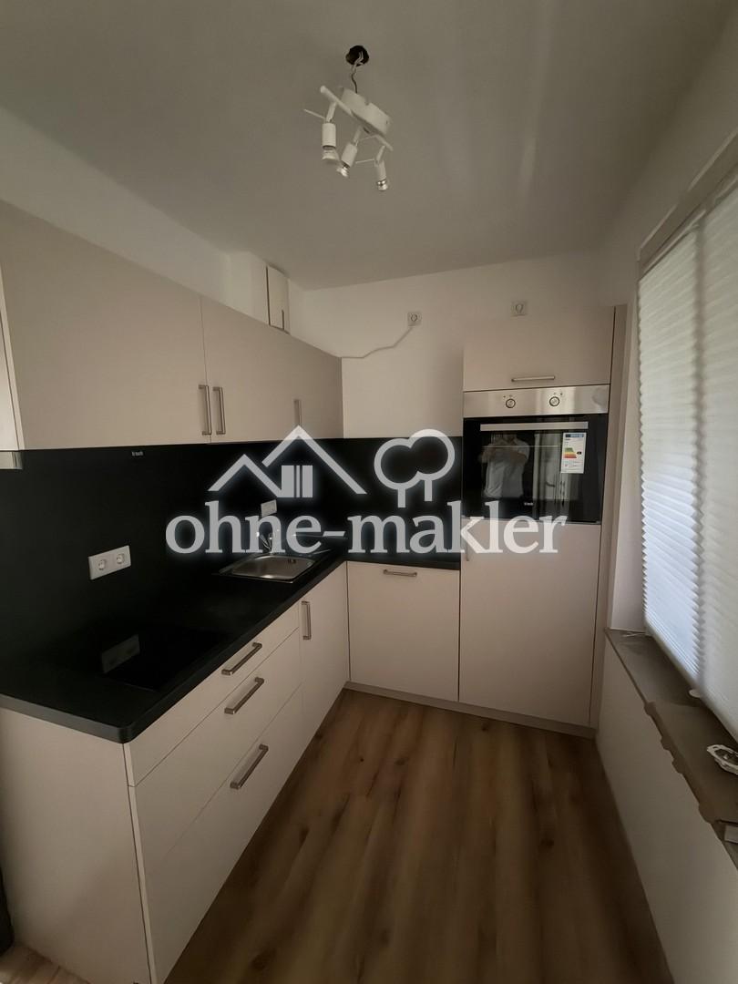 Erstbezug nach Renovierung! Möbliertes 1-R-Apartment + Terrasse & TG in Dresden- Neustadt / 38-49qm - Photo 4
