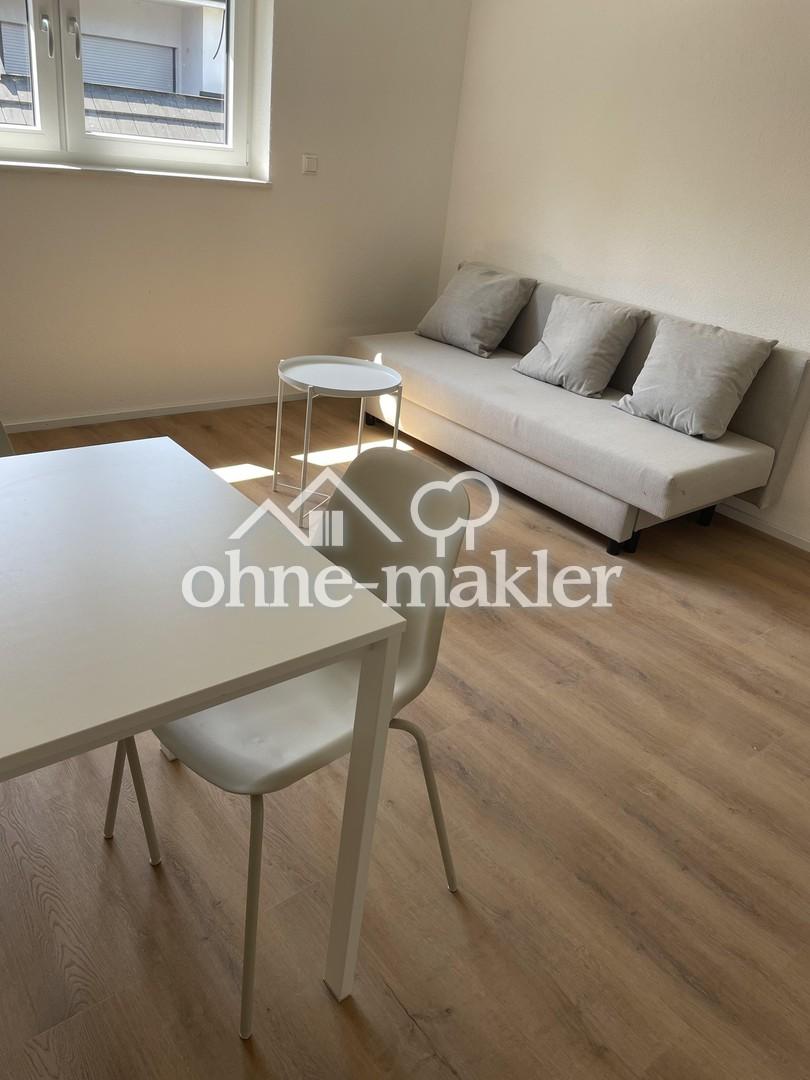 Möbliertes 2-Zimmer-Apartment | Erstbezug nach Sanierung | Direkt am Neckar - Photo 3