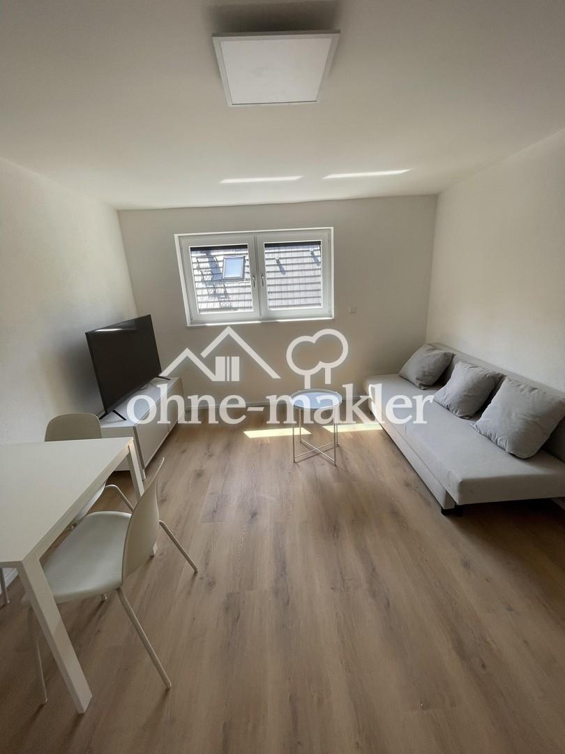 Möbliertes 2-Zimmer-Apartment | Erstbezug nach Sanierung | Direkt am Neckar - Photo 1