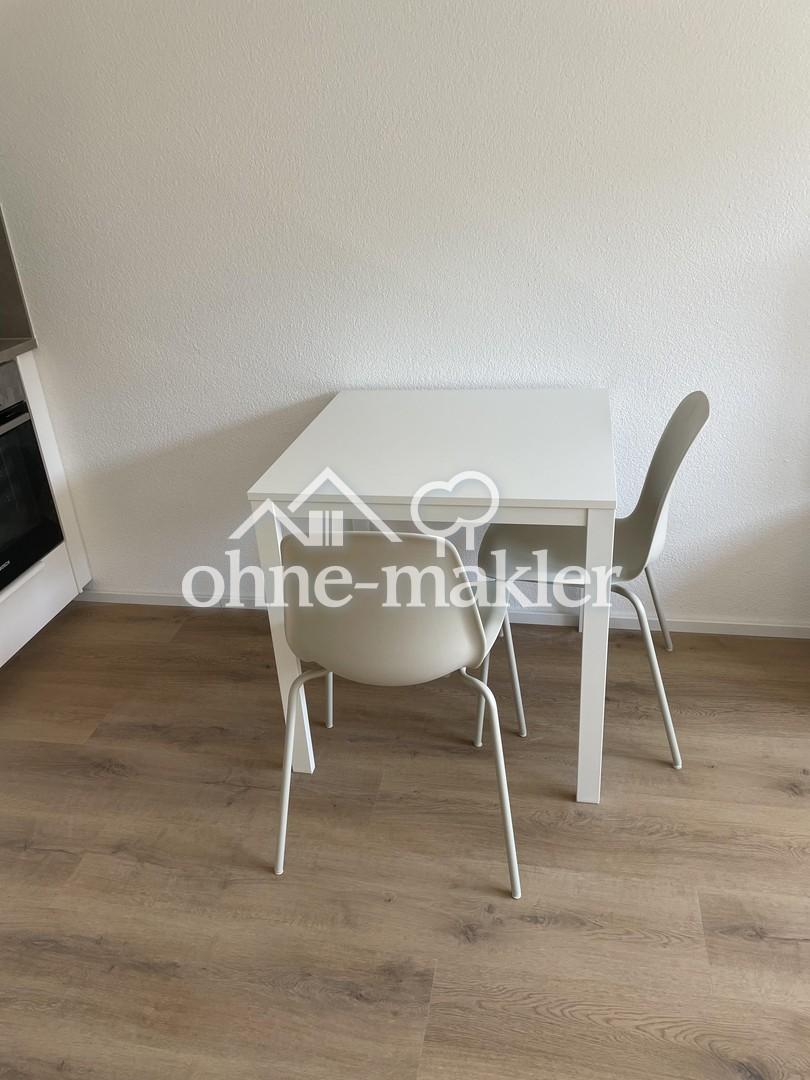 Möbliertes 2-Zimmer-Apartment | Erstbezug nach Sanierung | Direkt am Neckar - Foto 5