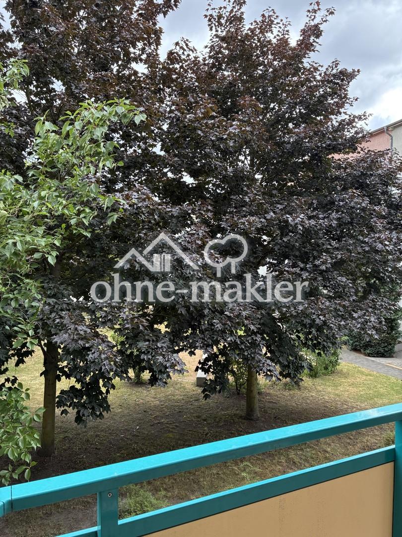 Groß, zentrumsnah, hell, ruhig und mit Balkon - Foto 5
