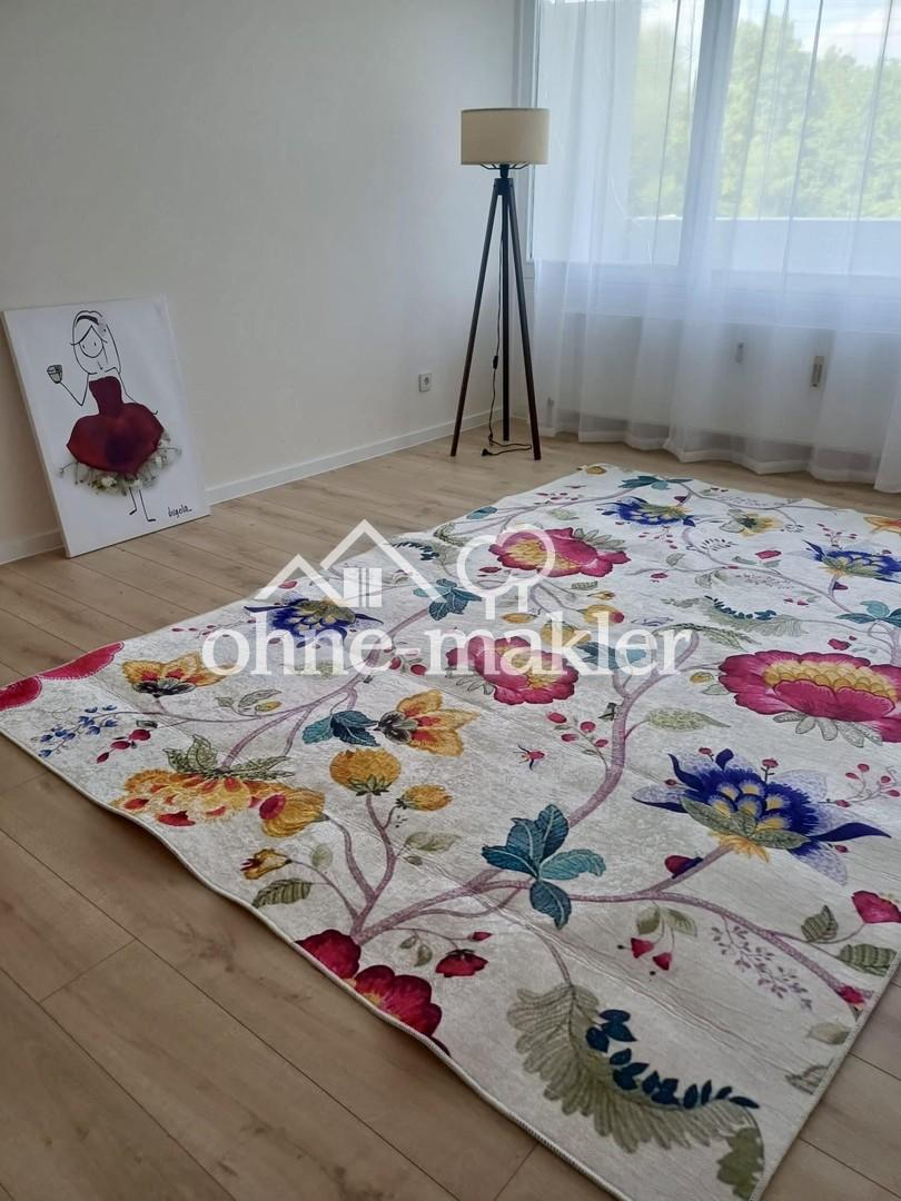 Schöne 1-Zimmer-Wohnng in Mainz-Marienborn - Photo 1