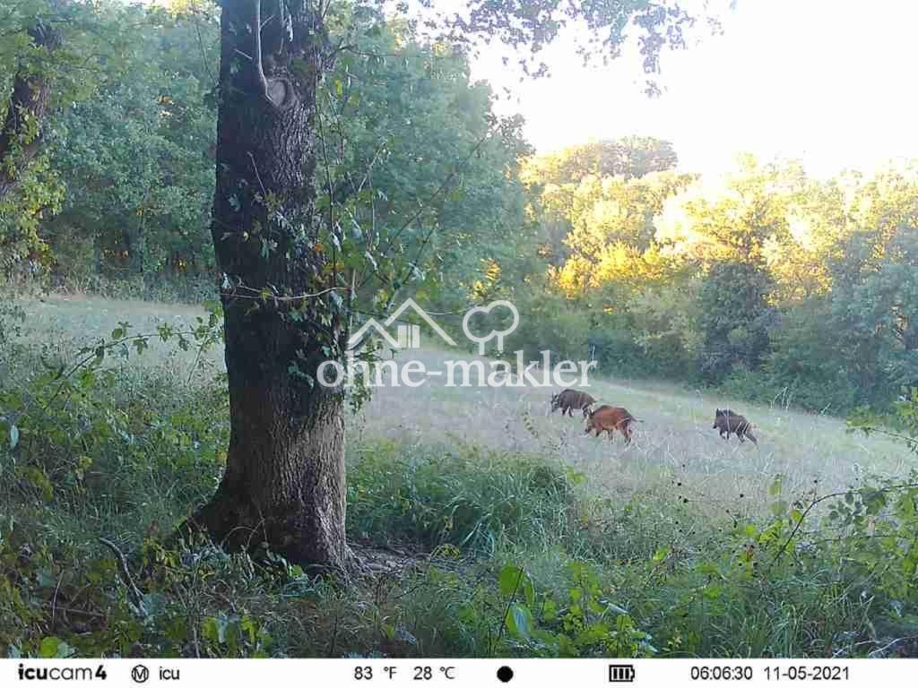 MS Geiststr 8 / Wohnung renovierungsbedürftig stark verraucht 64 qm mit TG Platz - Photo 4