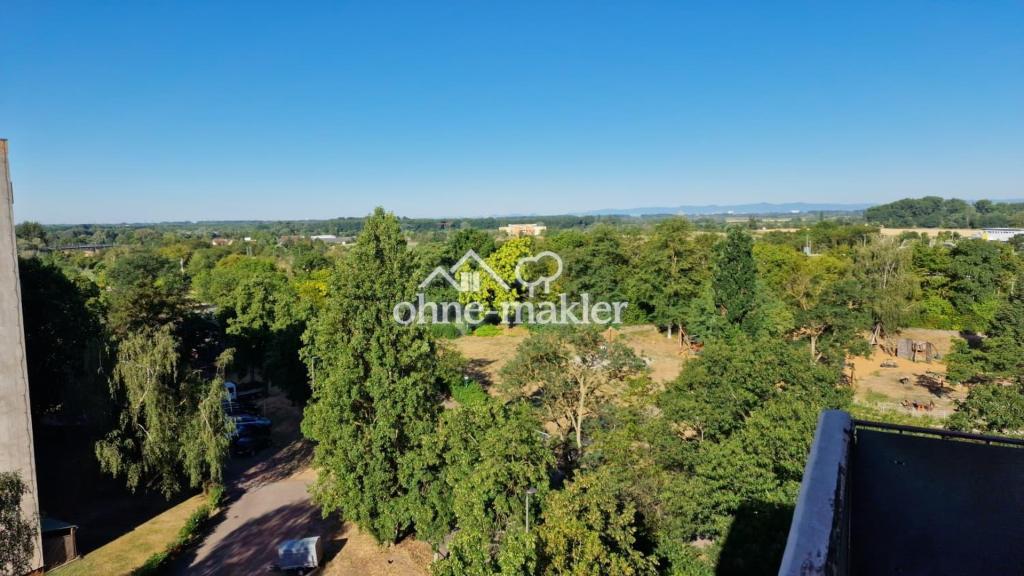 2-Zimmer-Wohnung mit wundervoller Aussicht über Hockenheim - Foto 4