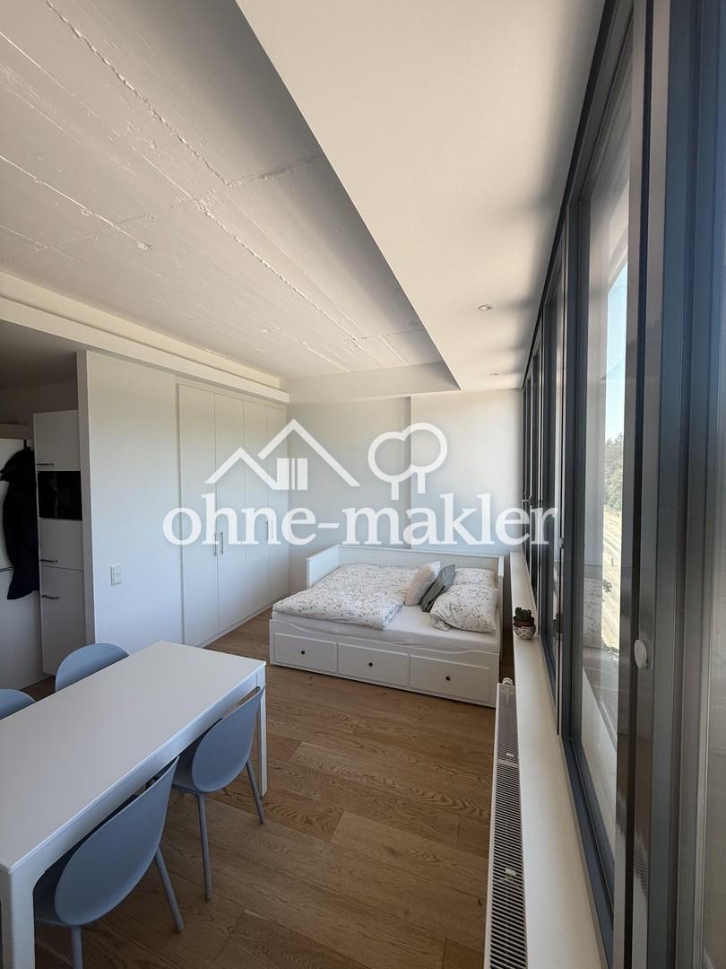 1 Zi. Appartment mit Küche, Einbauschrank, Waschmaschine ... - Foto 1