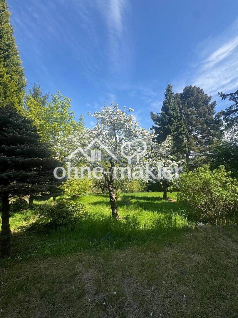 Barrierefreie, möblierte 3-Zimmer-Wohnung mit EBK, Balkon & Gartenanteil - Foto 5