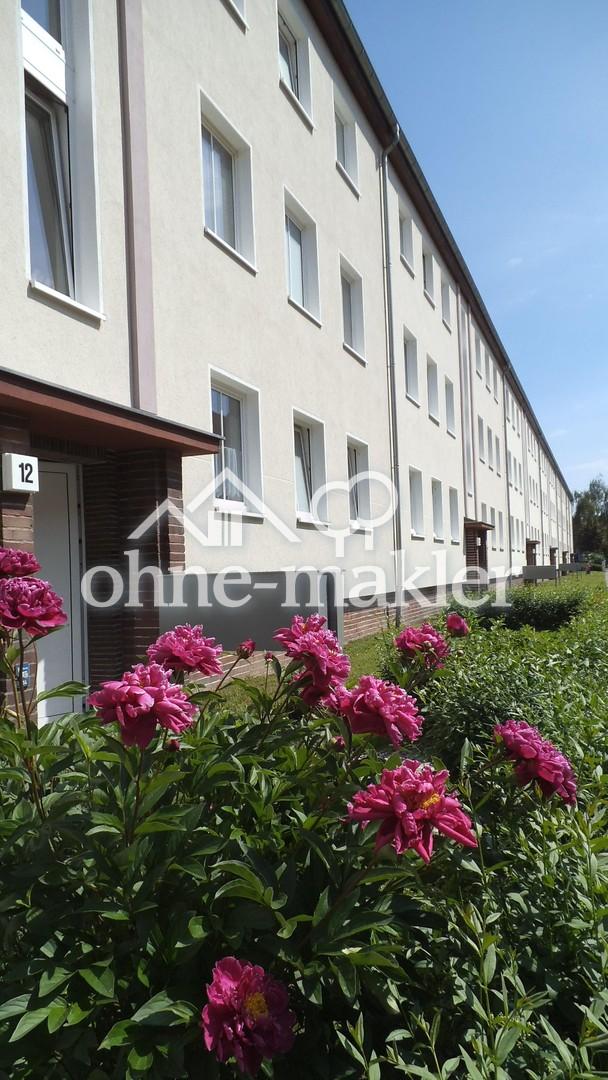 2-Raum Wohnung / Stadtfeld West / 62m² - Foto 5