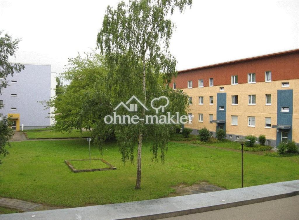 Ruhige wärmegedämmte 2-Raumwohnung zu vermieten - Photo 3
