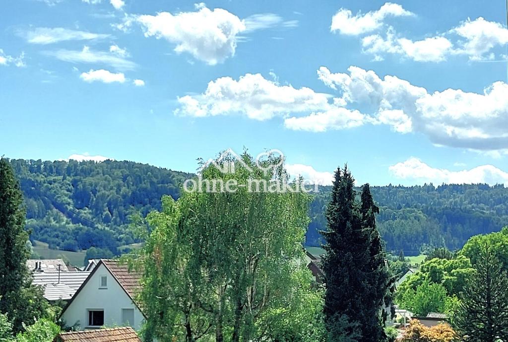 Einziehen & wohlfühlen 4,5 -Zi. DG - Penthousefeeling max. 4 Personen/Nichtraucher - Foto 5