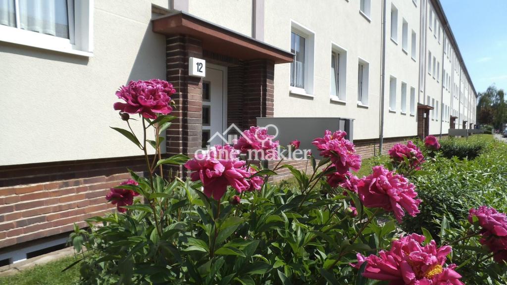 2-Raum Wohnung / Stadtfeld West / 65m² - Photo 5