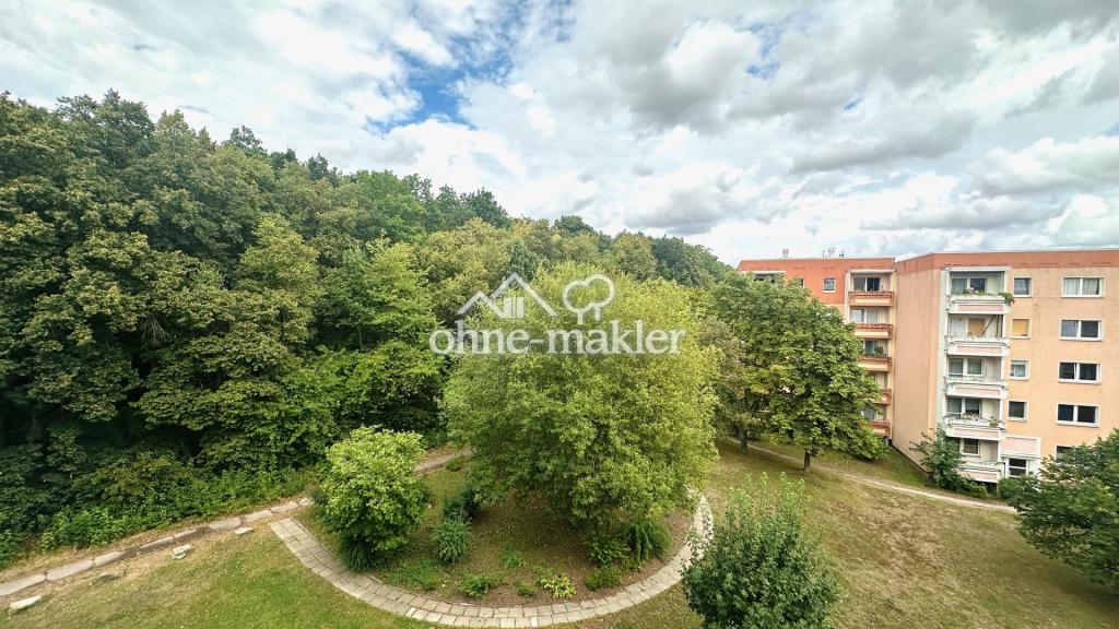 Helle 3-Zimmer-Wohnung am Waldrand - Foto 3