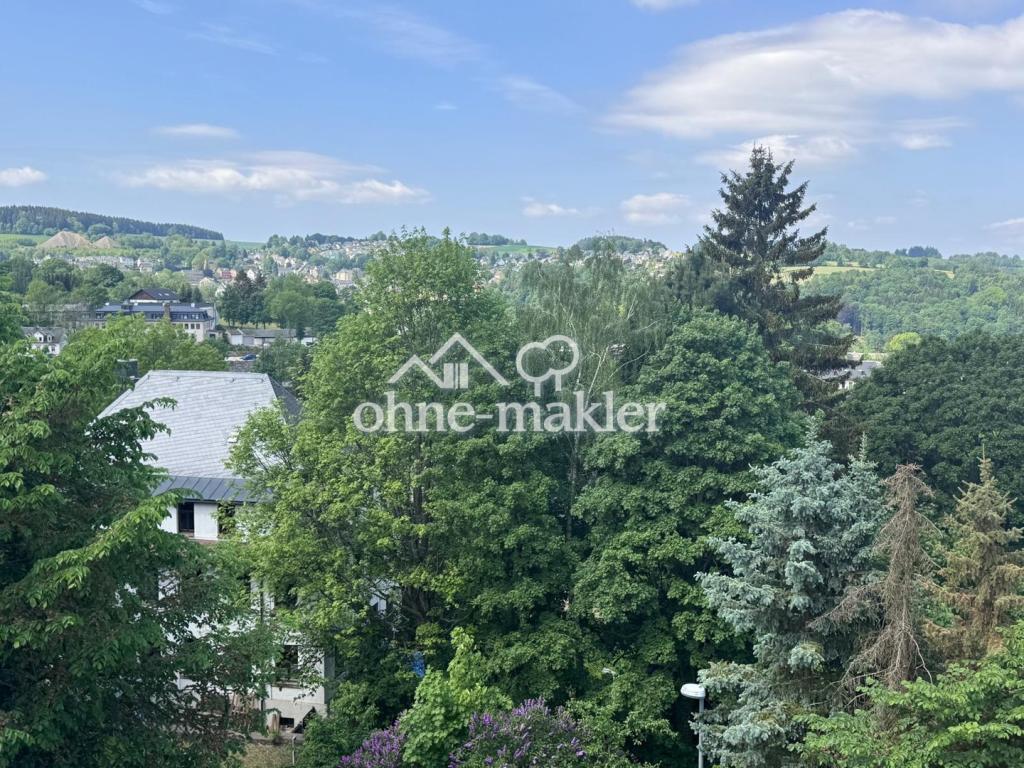 frisch sanierter 5 - Zi DG-Wohntraum mit Fernblick und Gartenanteil in einer Villa - Foto 5