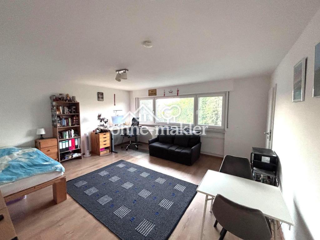 Renovierte 1-Zimmer Wohnung mit Einbauküche, Waschmaschine und Stellplatz - Foto 4