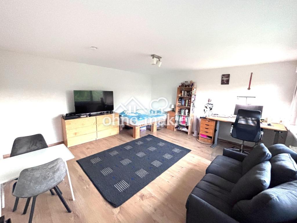 Renovierte 1-Zimmer Wohnung mit Einbauküche, Waschmaschine und Stellplatz - Foto 2