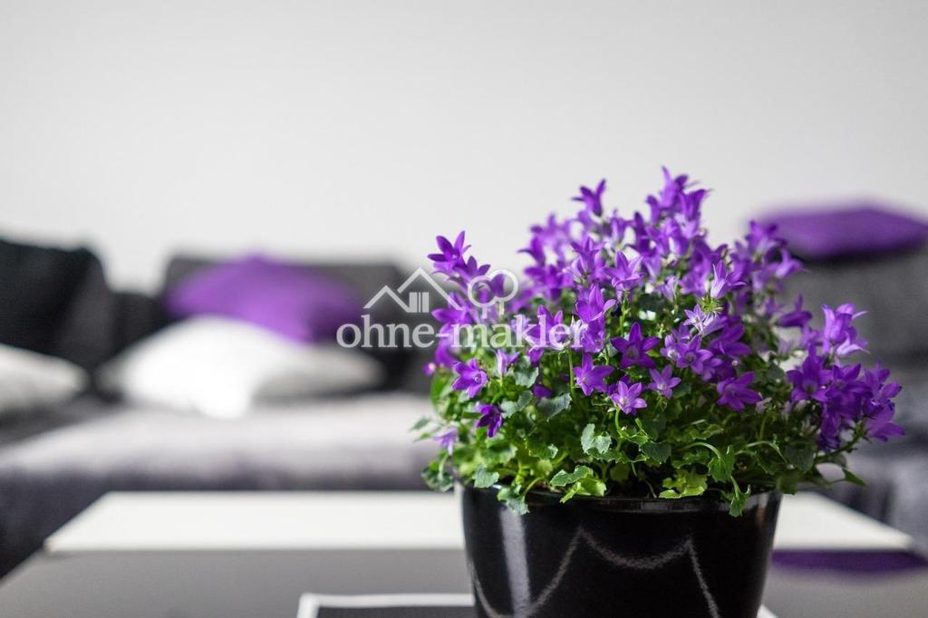 IHR GEMÜTLICHES ZUHAUSE ! Schnuckelige 2-Zi-Whg, WF 55 m², Chiemsee & Alpen - Photo 3