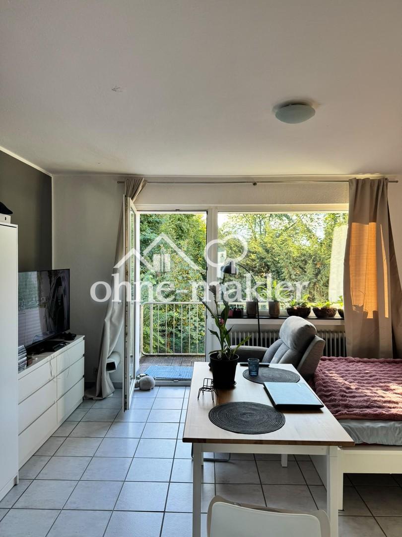 2 Zimmer im Grünen, 2 Sonnenterasse, Siegburg Kaldauen, ab sofort frei - Foto 1