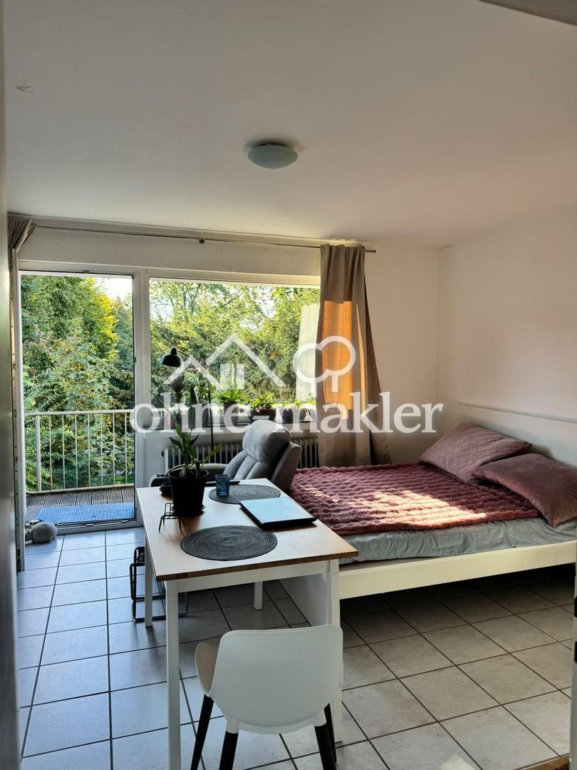 2 Zimmer im Grünen, 2 Sonnenterasse, Siegburg Kaldauen, ab sofort frei - Foto 3