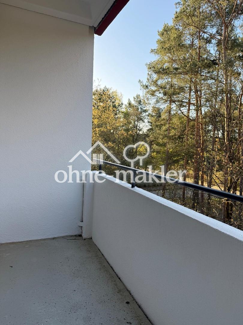 Erstbezug nach Sanierung – moderne 4-Zimmer-Wohnung mit Balkon und Blick ins Grüne - Foto 2