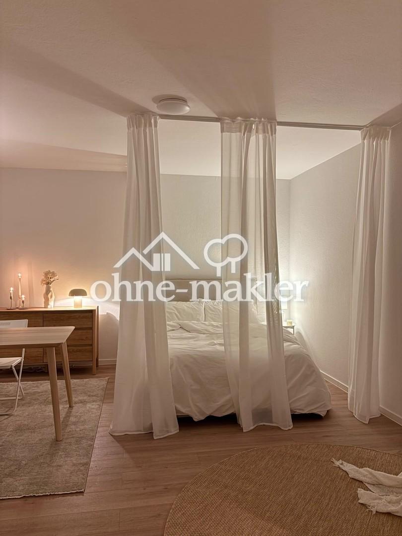 Frisch sanierte & voll möblierte 1-Zi.Whg mit Balkon fußläufig zum Schlosspark und Mainufer - Foto 3
