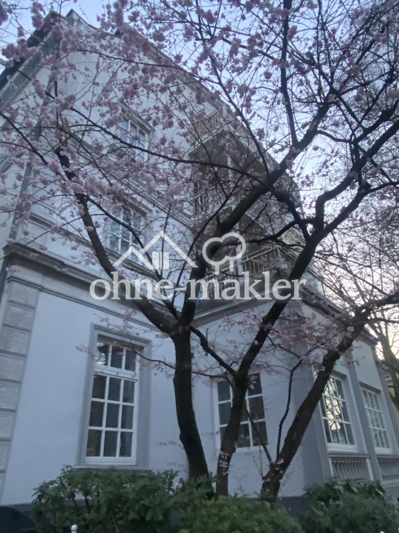 Modernisierter Altbau - mit 4 Meter hohen Stuckdecken im Herzen von Eimsbüttel - Photo 5