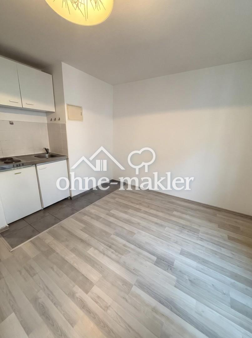 Gemütliches 1-Zimmer-Apartment in der Mannheimer Neckarstadt zu vermieten - Foto 2