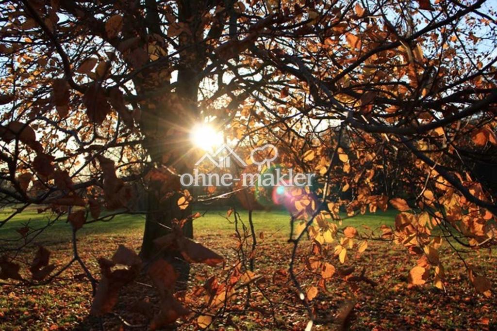 Jenischpark