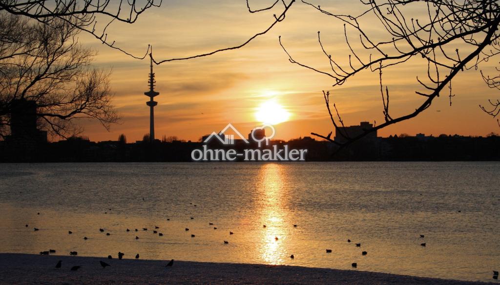 ganz nah der Alster
