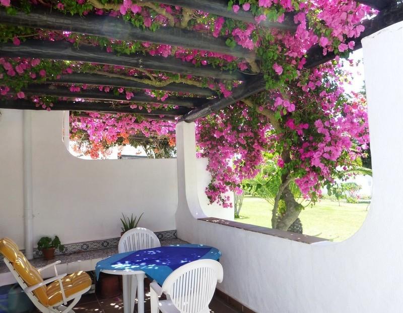 Pergola Untere Terrasse
