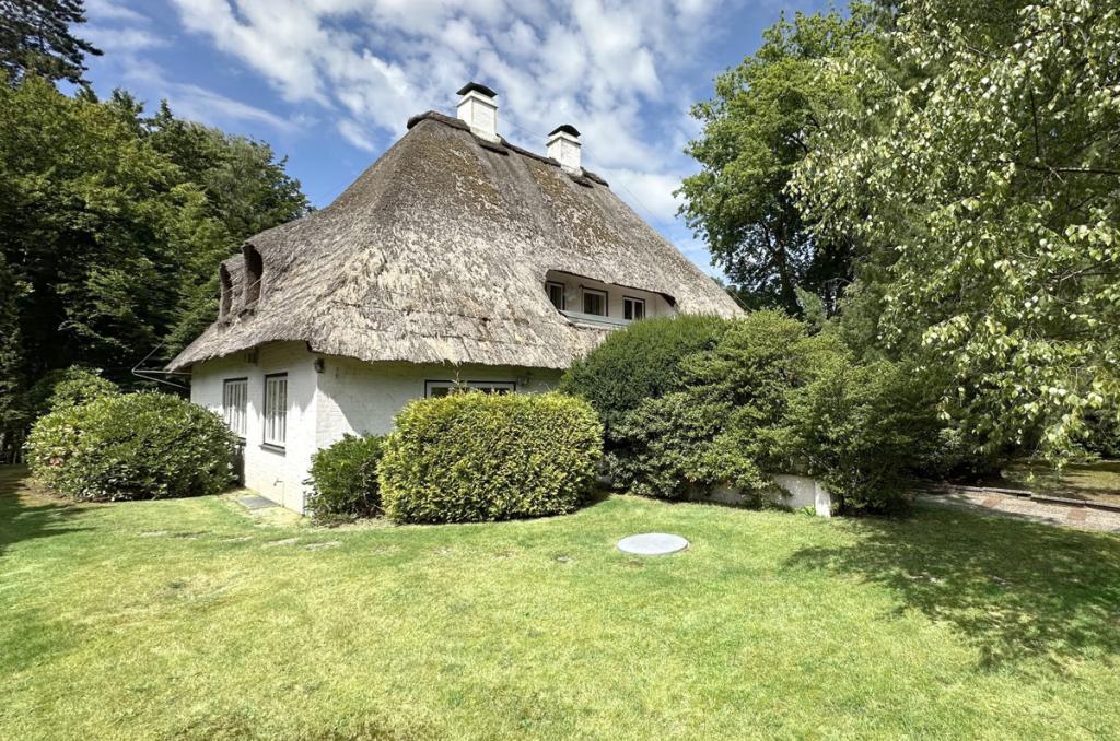 Haus