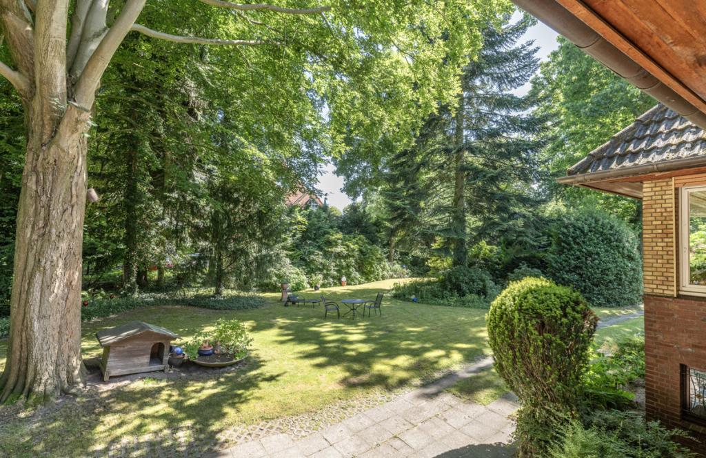 Blick in den Garten