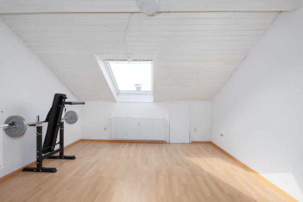 Zimmer DG 21