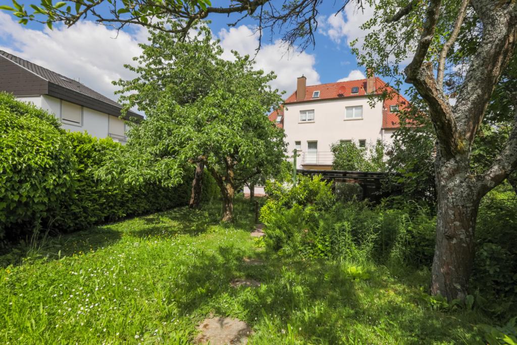 Rückansicht und Garten