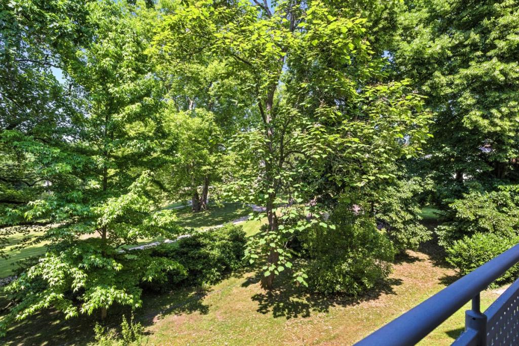 Blick vom Balkon in die Parkanlage